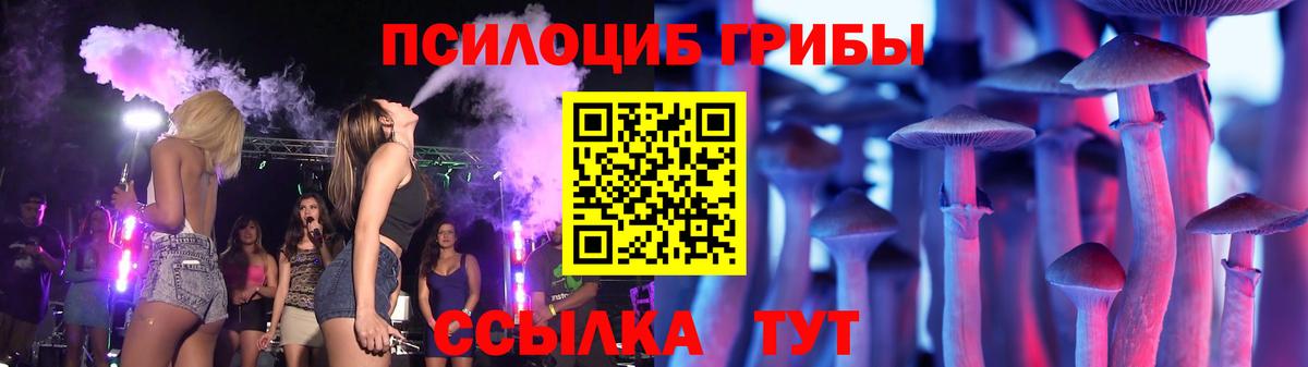 Галлюциногенные грибы Psilocybe  Вход с VPN  Подольск 